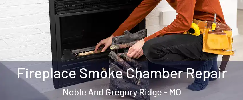 Fireplace Smoke Chamber Repair Noble And Gregory Ridge - MO