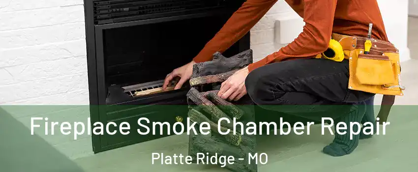 Fireplace Smoke Chamber Repair Platte Ridge - MO