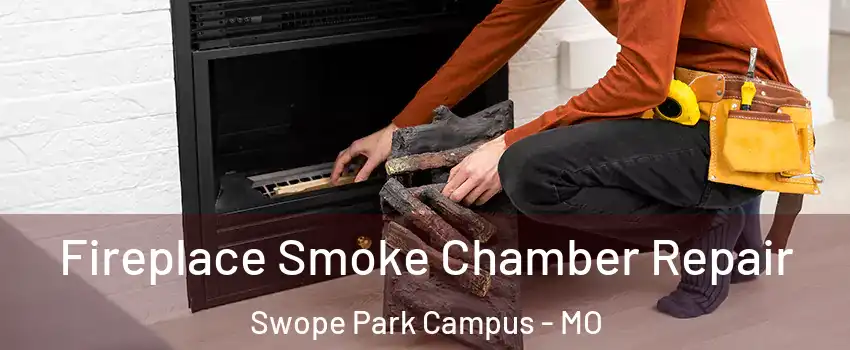 Fireplace Smoke Chamber Repair Swope Park Campus - MO