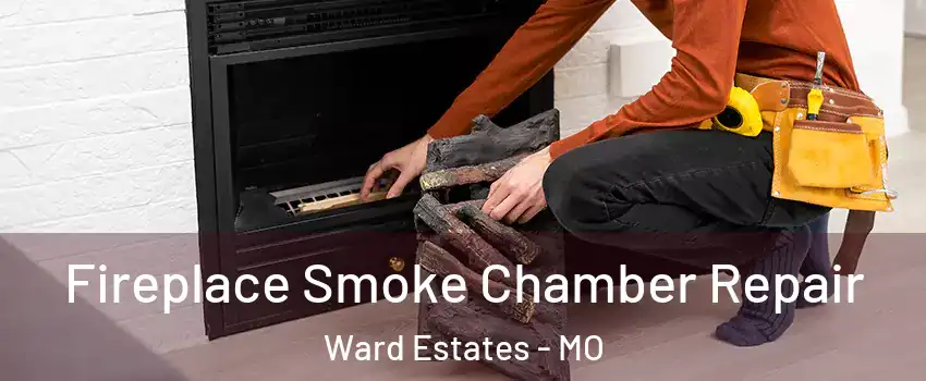 Fireplace Smoke Chamber Repair Ward Estates - MO