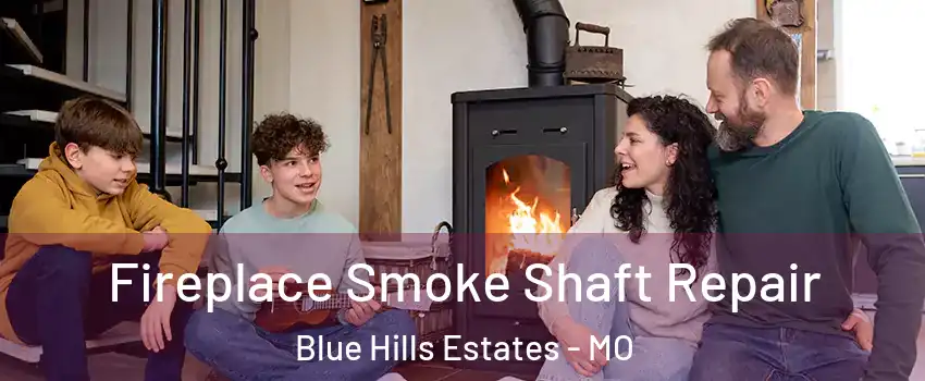 Fireplace Smoke Shaft Repair Blue Hills Estates - MO