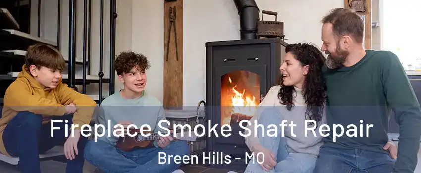 Fireplace Smoke Shaft Repair Breen Hills - MO