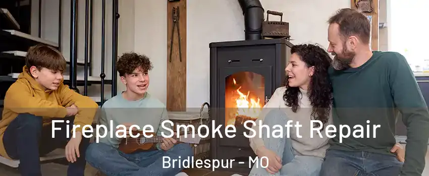 Fireplace Smoke Shaft Repair Bridlespur - MO