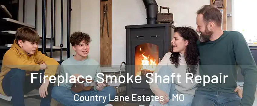 Fireplace Smoke Shaft Repair Country Lane Estates - MO