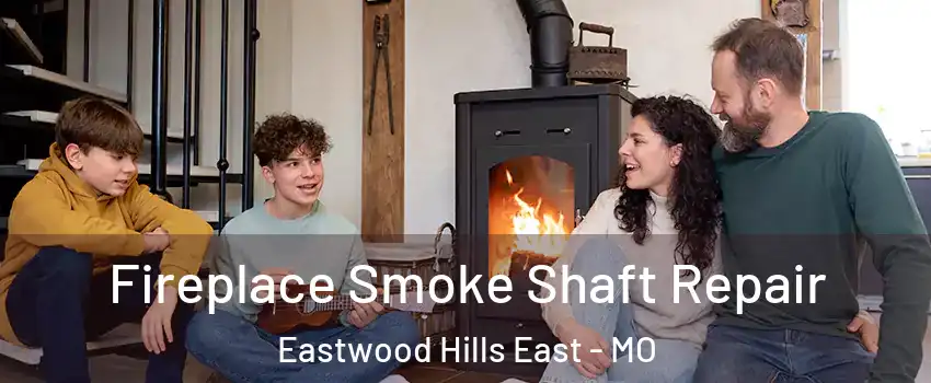 Fireplace Smoke Shaft Repair Eastwood Hills East - MO