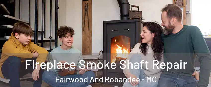 Fireplace Smoke Shaft Repair Fairwood And Robandee - MO