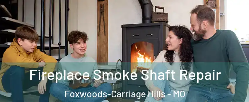 Fireplace Smoke Shaft Repair Foxwoods-Carriage Hills - MO