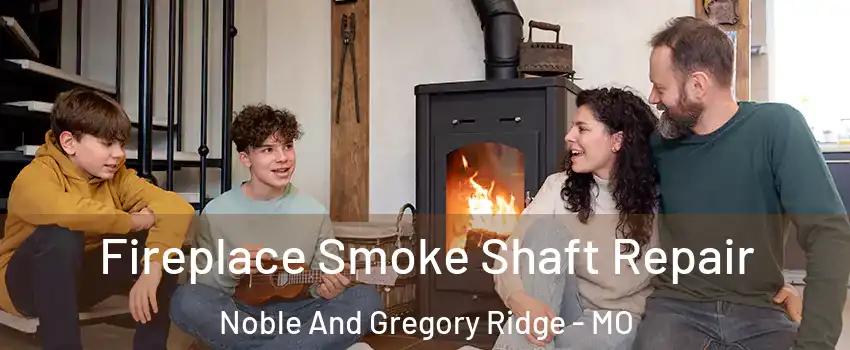 Fireplace Smoke Shaft Repair Noble And Gregory Ridge - MO