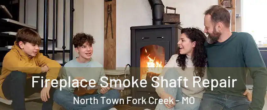 Fireplace Smoke Shaft Repair North Town Fork Creek - MO