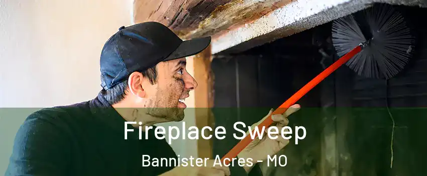 Fireplace Sweep Bannister Acres - MO