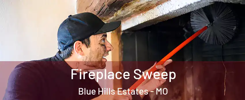 Fireplace Sweep Blue Hills Estates - MO