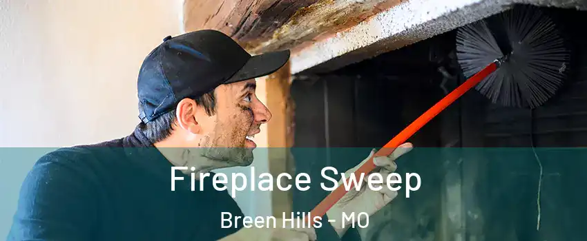 Fireplace Sweep Breen Hills - MO