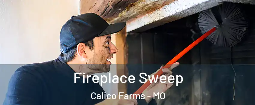 Fireplace Sweep Calico Farms - MO