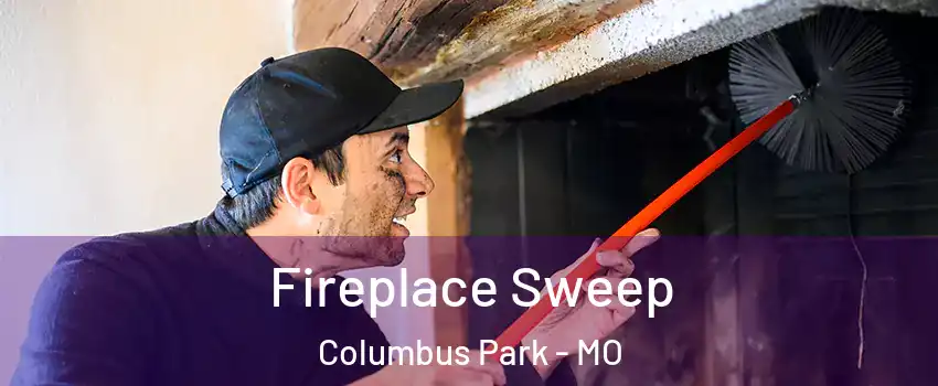 Fireplace Sweep Columbus Park - MO