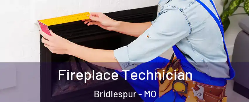 Fireplace Technician Bridlespur - MO