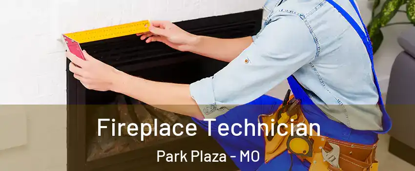 Fireplace Technician Park Plaza - MO