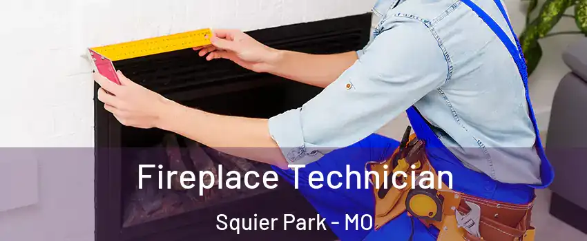 Fireplace Technician Squier Park - MO