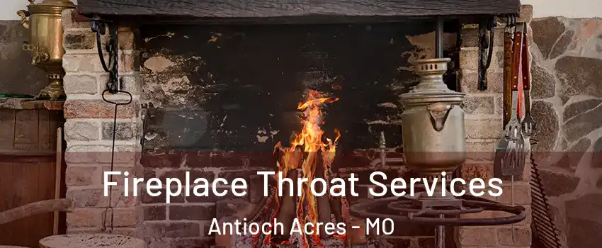 Fireplace Throat Services Antioch Acres - MO