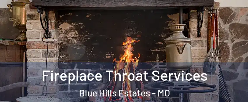 Fireplace Throat Services Blue Hills Estates - MO