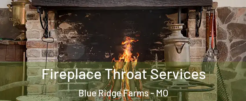 Fireplace Throat Services Blue Ridge Farms - MO