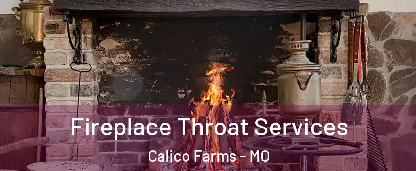 Fireplace Throat Services Calico Farms - MO