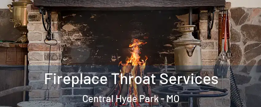 Fireplace Throat Services Central Hyde Park - MO