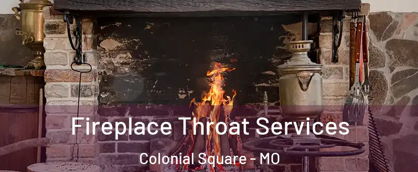 Fireplace Throat Services Colonial Square - MO