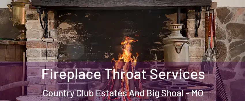 Fireplace Throat Services Country Club Estates And Big Shoal - MO