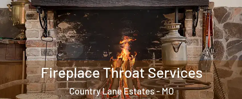 Fireplace Throat Services Country Lane Estates - MO