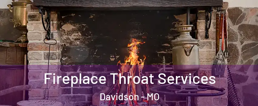 Fireplace Throat Services Davidson - MO