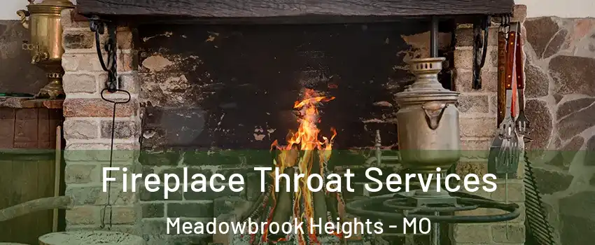 Fireplace Throat Services Meadowbrook Heights - MO