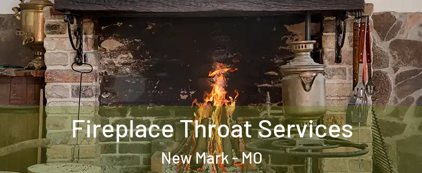 Fireplace Throat Services New Mark - MO