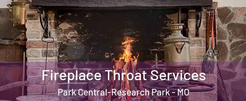 Fireplace Throat Services Park Central-Research Park - MO