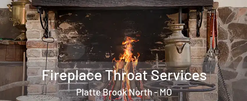 Fireplace Throat Services Platte Brook North - MO