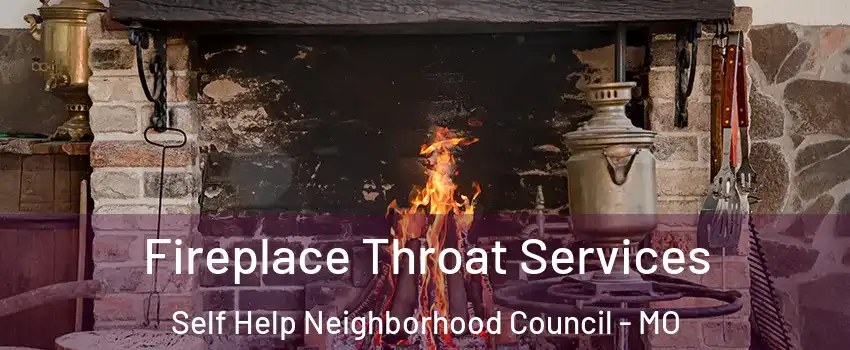 Fireplace Throat Services Self Help Neighborhood Council - MO