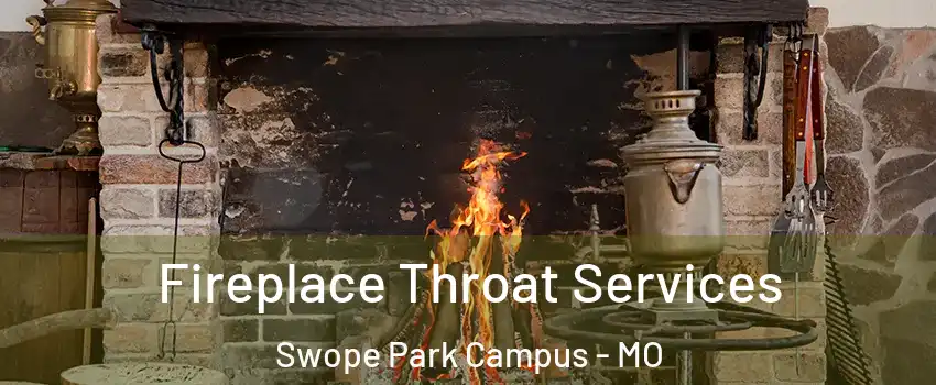 Fireplace Throat Services Swope Park Campus - MO