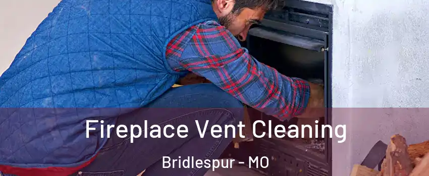 Fireplace Vent Cleaning Bridlespur - MO