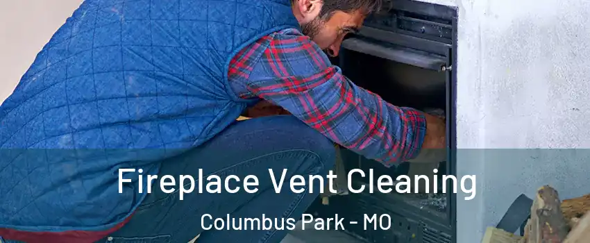 Fireplace Vent Cleaning Columbus Park - MO