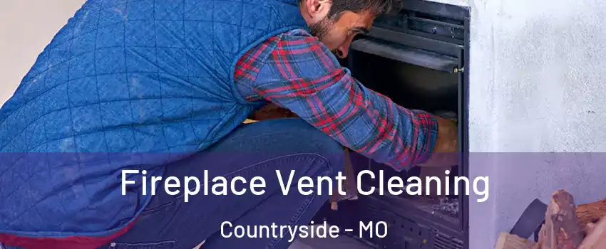 Fireplace Vent Cleaning Countryside - MO