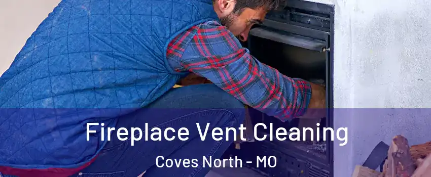 Fireplace Vent Cleaning Coves North - MO