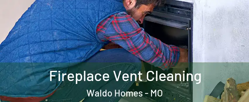 Fireplace Vent Cleaning Waldo Homes - MO