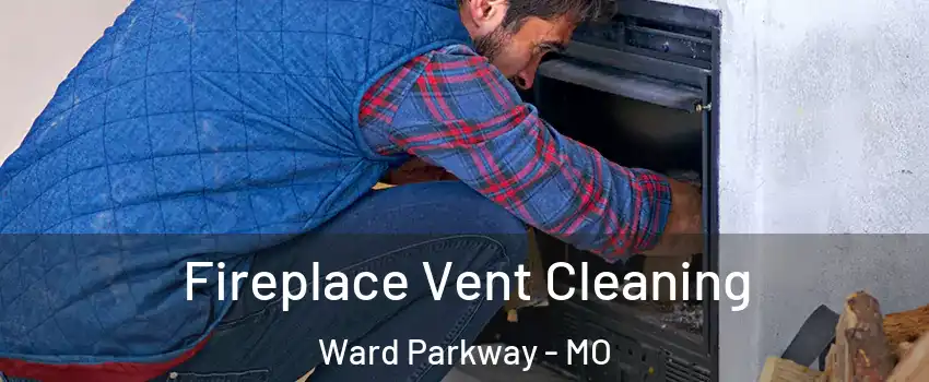 Fireplace Vent Cleaning Ward Parkway - MO