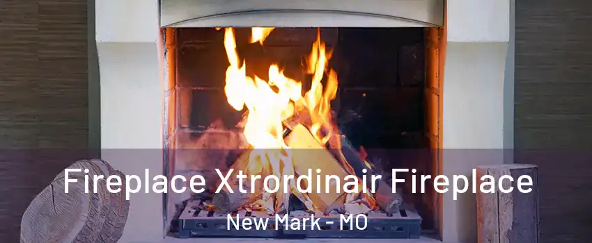 Fireplace Xtrordinair Fireplace New Mark - MO