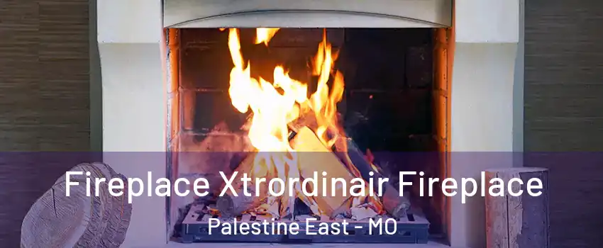 Fireplace Xtrordinair Fireplace Palestine East - MO