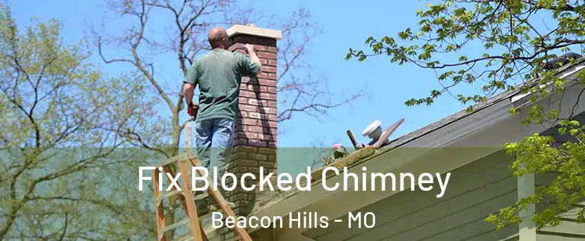 Fix Blocked Chimney Beacon Hills - MO