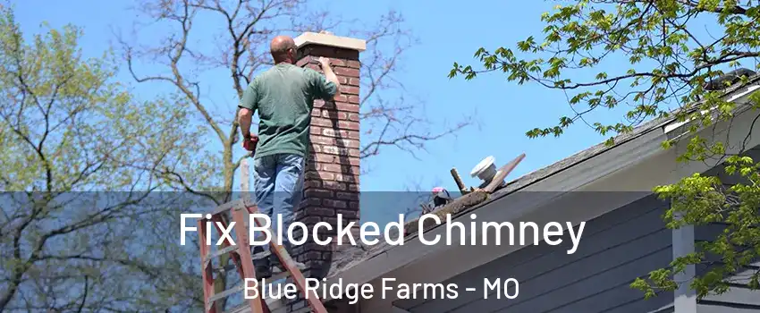 Fix Blocked Chimney Blue Ridge Farms - MO