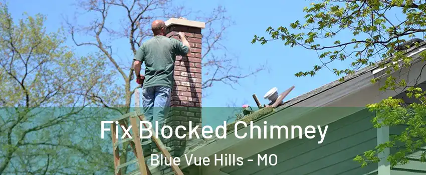 Fix Blocked Chimney Blue Vue Hills - MO