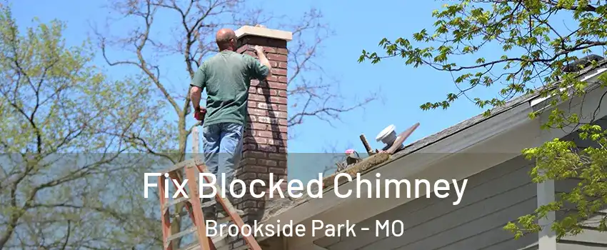 Fix Blocked Chimney Brookside Park - MO