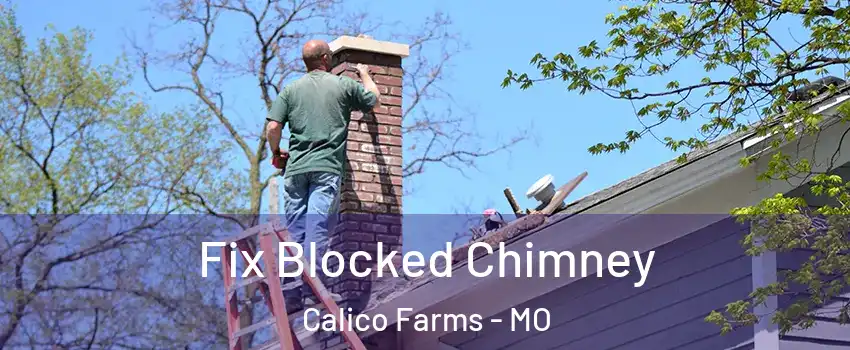 Fix Blocked Chimney Calico Farms - MO