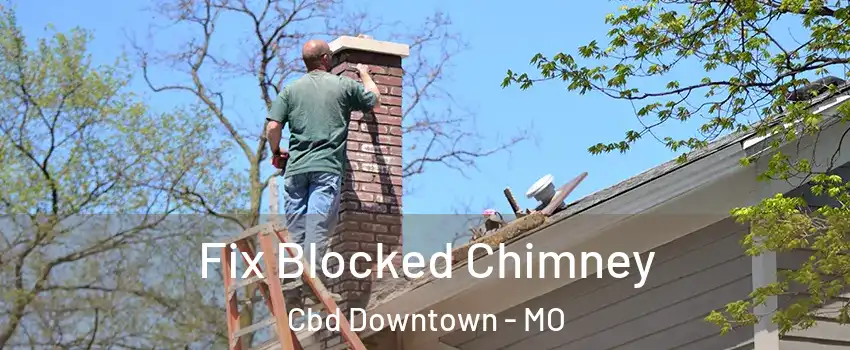 Fix Blocked Chimney Cbd Downtown - MO